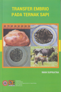 Image of Transfer Embrio Pada Ternak Sapi